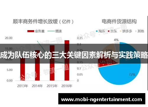 成为队伍核心的三大关键因素解析与实践策略