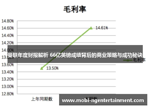 曼联年度财报解析 66亿英镑成绩背后的商业策略与成功秘诀