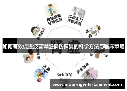 如何有效促进波普肾脏损伤恢复的科学方法与临床策略