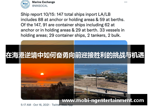 在海港逆境中如何奋勇向前迎接胜利的挑战与机遇