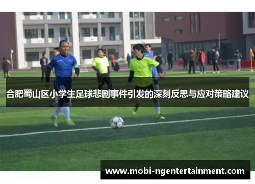 合肥蜀山区小学生足球悲剧事件引发的深刻反思与应对策略建议