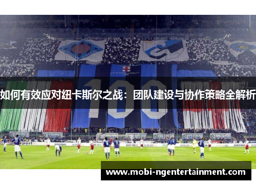 如何有效应对纽卡斯尔之战：团队建设与协作策略全解析