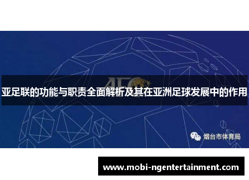 亚足联的功能与职责全面解析及其在亚洲足球发展中的作用