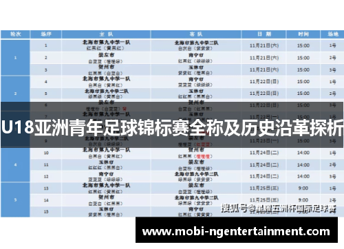 U18亚洲青年足球锦标赛全称及历史沿革探析