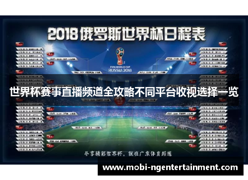 世界杯赛事直播频道全攻略不同平台收视选择一览