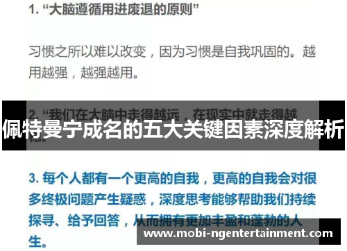 佩特曼宁成名的五大关键因素深度解析