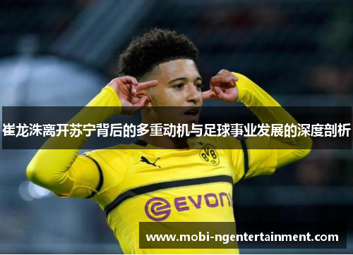 崔龙洙离开苏宁背后的多重动机与足球事业发展的深度剖析