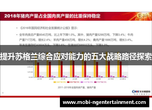 提升苏格兰综合应对能力的五大战略路径探索