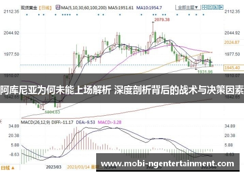 阿库尼亚为何未能上场解析 深度剖析背后的战术与决策因素