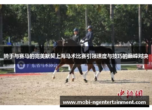 骑手与赛马的完美默契上海马术比赛引领速度与技巧的巅峰对决