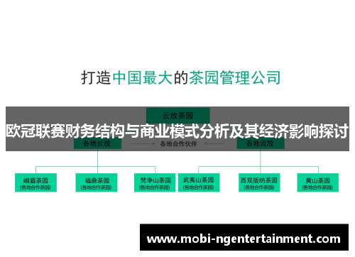 欧冠联赛财务结构与商业模式分析及其经济影响探讨 欧冠联赛财务结构与商业模式分析及其经济影响探讨