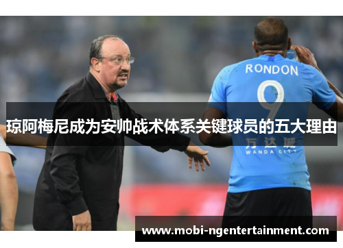 琼阿梅尼成为安帅战术体系关键球员的五大理由 琼阿梅尼成为安帅战术体系关键球员的五大理由