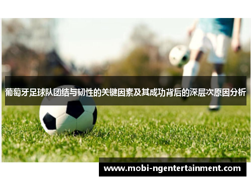 葡萄牙足球队团结与韧性的关键因素及其成功背后的深层次原因分析